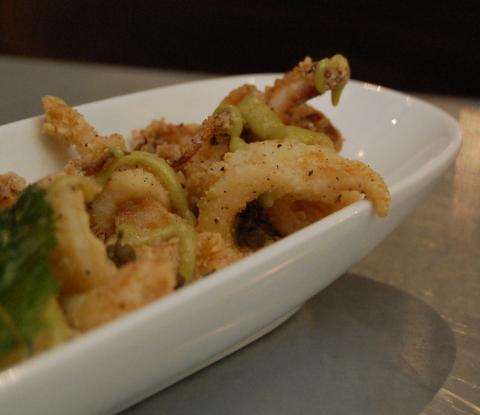 Calamari Calamari