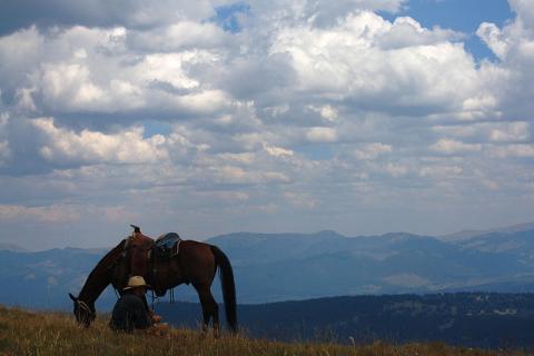 Montana cowboy Montana cowboy