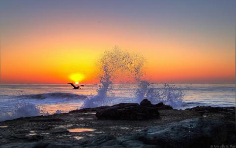 Golden California sunset Golden California sunset