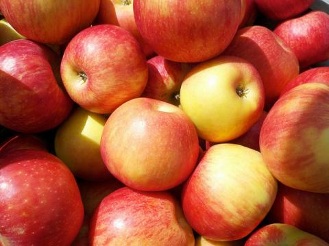 Honeycrisp apples Honeycrisp apples