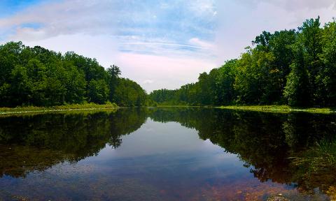Cedarville State Forest in Waldorf, Maryland