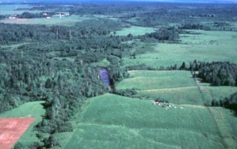 Kalkaska soil landscape in Michigan