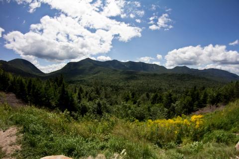 White Mountain National Forest, NH White Mountain National Forest, New Hampshire