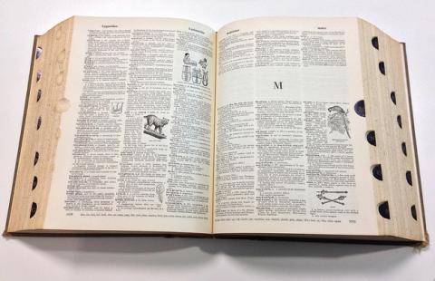 English dictionary English dictionary
