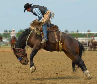 Texas State Sport | Rodeo