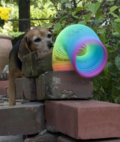 Slinky toy fun! Slinky toy fun!