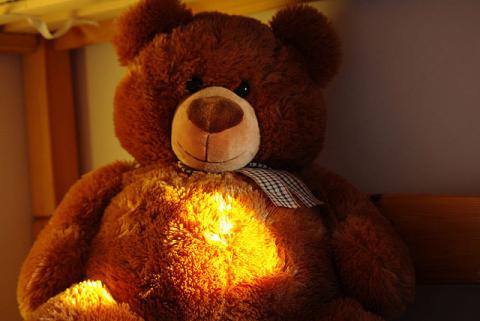 Teddy bear Teddy bear