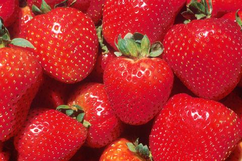 Strawberries Strawberries