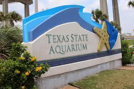 Texas State Aquarium Aquarium