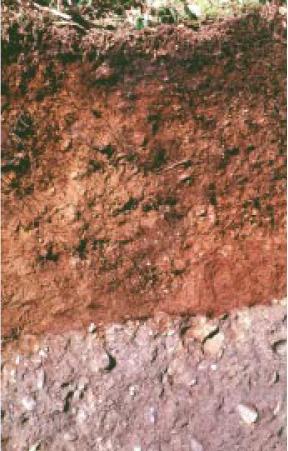 Tokul soil Tokul soil