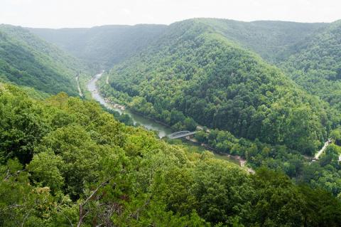 westVirginiamountainmama.jpg | State Symbols USA