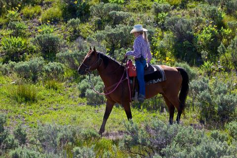 Wyoming cowgirl Wyoming cowgirl