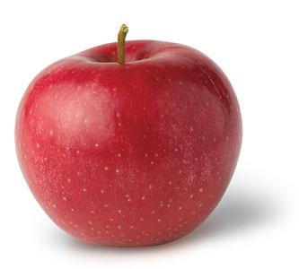 Red rome apple