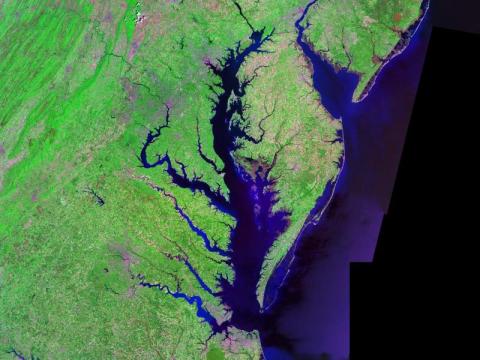 The Chesapeake Bay The Chesapeake Bay