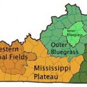 The Bluegrass State  State Symbols USA