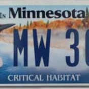 Minnesota license plate features common loon