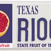 Texas license plate with red grapefruit