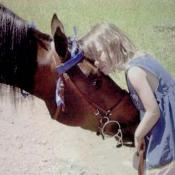 Tennessee walker stallion and friend