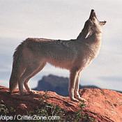 Symbols of South Dakota | State Symbols USA