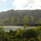 View from the trail at Ahupuaʻa O Kahana State Park, Hawaii