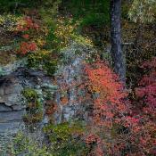 Autumn in the Ozarks