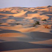 Imperial Sand Dunes in California
