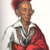 Sauk Chief Black Hawk