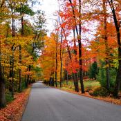 Fall foliage in Dover, New Hampshire