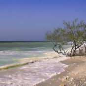 Florida beach - Honeymoon Island, Dunedin, Pinellas County.