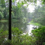 Callaway Gardens in Georgia