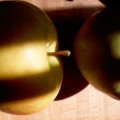Goldrush apples