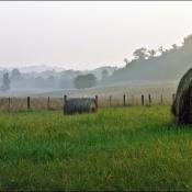 Rural Kentucky - farmland with bales of hay in morning mist