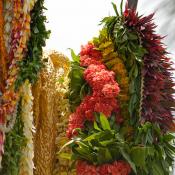 Leis in Honolulu