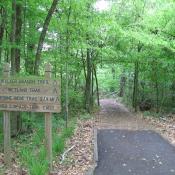Trails: Louisiana State Arboretum / State Preservation Area