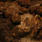 Louisiana oysters