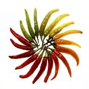 Photo of red an green chile peppers