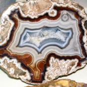 Agate from Kentucky, USA