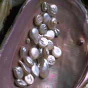 Tennessee river pearls