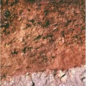 Tokul soil