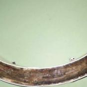 Vermont mammoth tusk; the official state terrestrial fossil