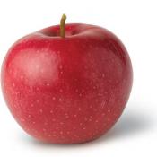 Red rome apple
