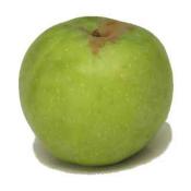 Rhode Island greening apple
