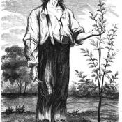 1862 drawing of Johnny Appleseed
