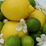 key limes and lemons
