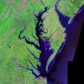 The Chesapeake Bay