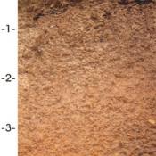 Jory soil profile