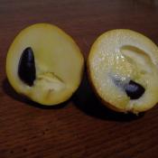 Pawpaw fruit cut in half