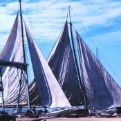 Skipjacks drying their sails in Chesapeake Bay, Maryland