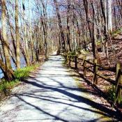 Trail by the River, Mounds State Park, Indiana