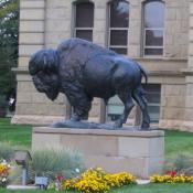 Bison sculpture at Wyoming State Capitol in Cheyenne, Wyoming